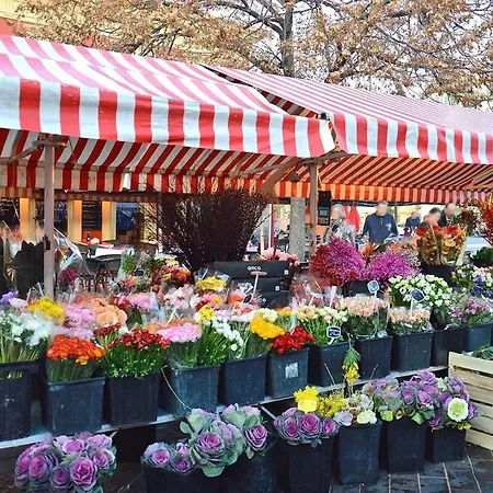 Διαμέρισμα Vieux Νίκαια
